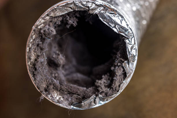 Best Air Vent Cleaning Services  in Stone Park, IL